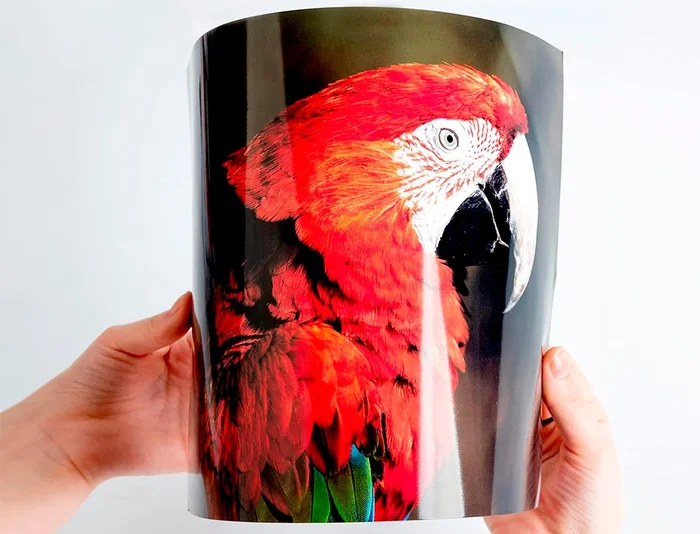 Q-connect Papel Fotográfico Glossy Din A4 260gr Alta Calidad Ink-jet Bolsa 50 Hojas