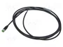 MURRELEKTRONIK Cable para sensores M8 hembra recto 2m