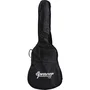 Eko Pack Guitarra Acústica Spencer By Eko Sa-10 Natural + Accesorios