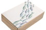 DKD Home Decor Set de 2 Cajas de Mango Lacado Blanco 25x17,5x8 cm Peces