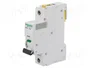 SCHNEIDER ELECTRIC Interruptor magnetotérmico iC60N 6A 1 Polo Característica B