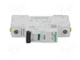 SCHNEIDER ELECTRIC Interruptor magnetotérmico iC60N 6A 1 Polo Característica B