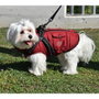 Nayeco Chaqueta con Arnés Rojo 30 cm para Perro, Chaleco Abrigo Impermeable y Reflectante
