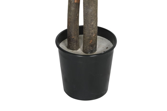 DKD Home Decor Árbol Decorativo 90 x 180 x 90 cm Verde