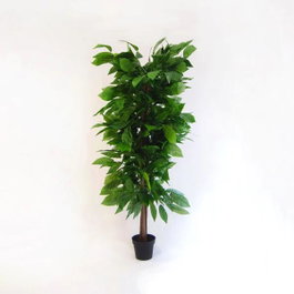 DKD Home Decor Árbol de Madera y Poliéster Mango Verde 90x90x180 cm