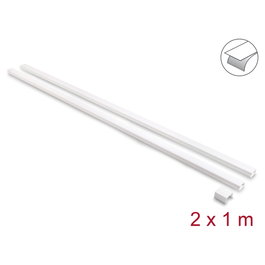 DeLOCK 22086 Canaletas autoadhesivas con tapa deslizante 24 x 14 mm - Pack de 2 unidades