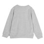 Cerdá Sudadera Cotton Brushed Pixar Inside Out 8 Años Gris para Niña