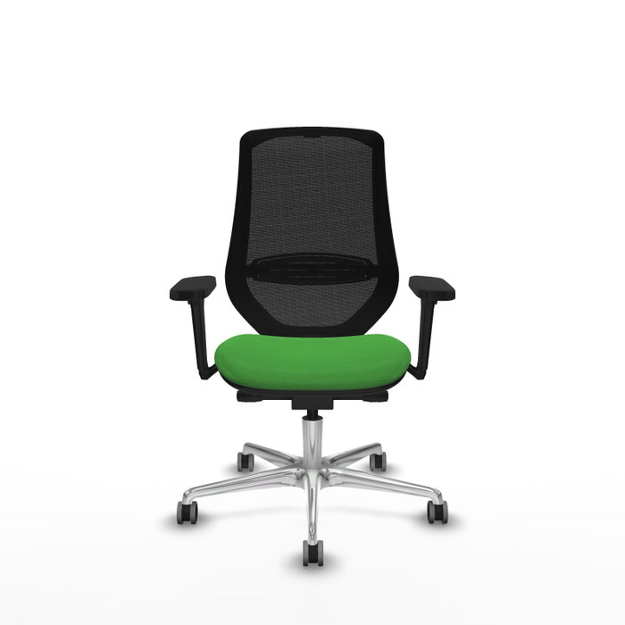 PIQUERAS Y CRESPO Silla de oficina Mardos con mecanismo Sincro/Traslack, Verde y Negro PIQUERAS Y CRESPO Silla de oficina Mardos con mecanismo Sincro/Traslack, Verde y Negro