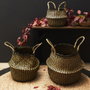 Home Deco Factory Conjunto de 3 Cestas Thai Bicolor con Asas