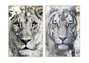 DKD Home Decor Set de 2 Cuadros sobre Lienzo León Tigre 83x123 cm