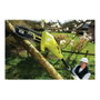 Ryobi Podadora de árboles 750W con guía de 25 cm y extensión