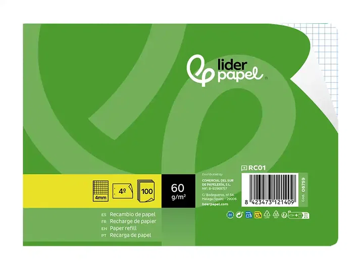 Liderpapel Recambio Cuarto Apaisado 100 Hojas 60g Cuadro 4 mm 2 Taladros con Margen