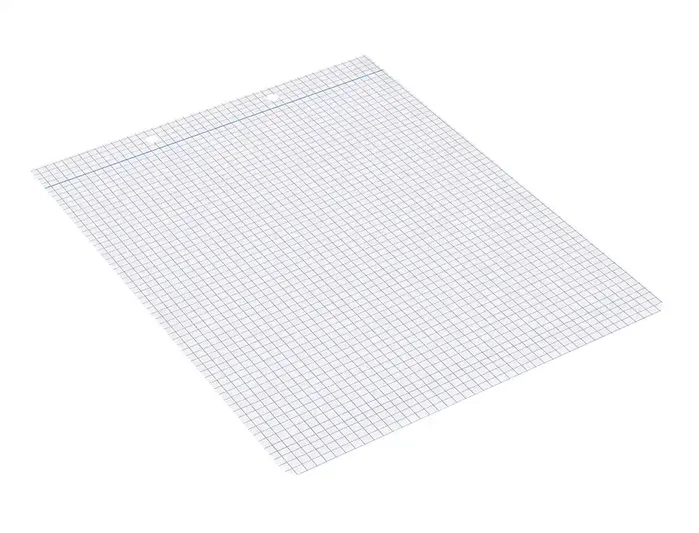 Liderpapel Recambio Cuarto Apaisado 100 Hojas 60g Cuadro 4 mm 2 Taladros con Margen