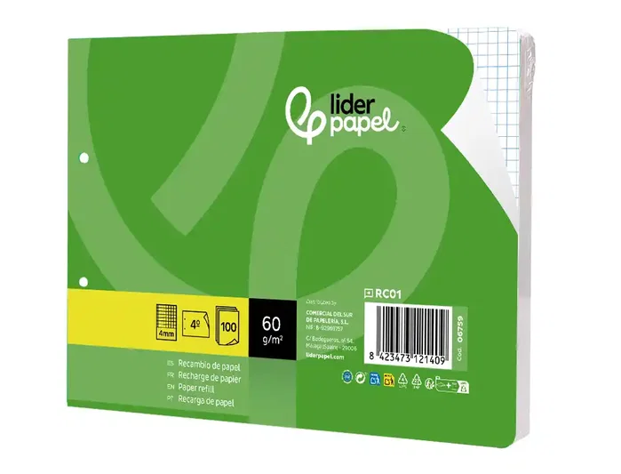 Liderpapel Recambio Cuarto Apaisado 100 Hojas 60g Cuadro 4 mm 2 Taladros con Margen