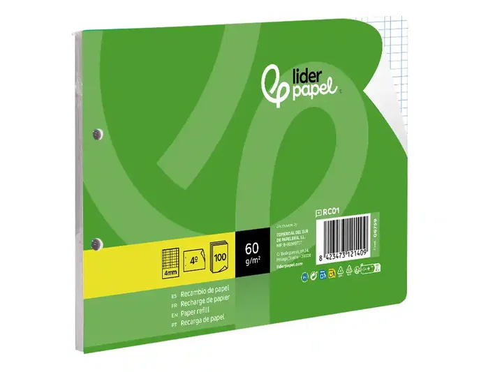 Liderpapel Recambio Cuarto Apaisado 100 Hojas 60g Cuadro 4 mm 2 Taladros con Margen