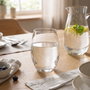Bohemia Vaso Alto Mergus de Cristal Transparente 60 cl