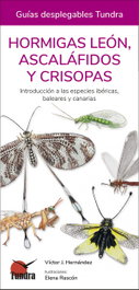 HORMIGAS LEON, ASCALAFIDOS Y CRISOPAS, Victor J. Hernandez - TUNDRA