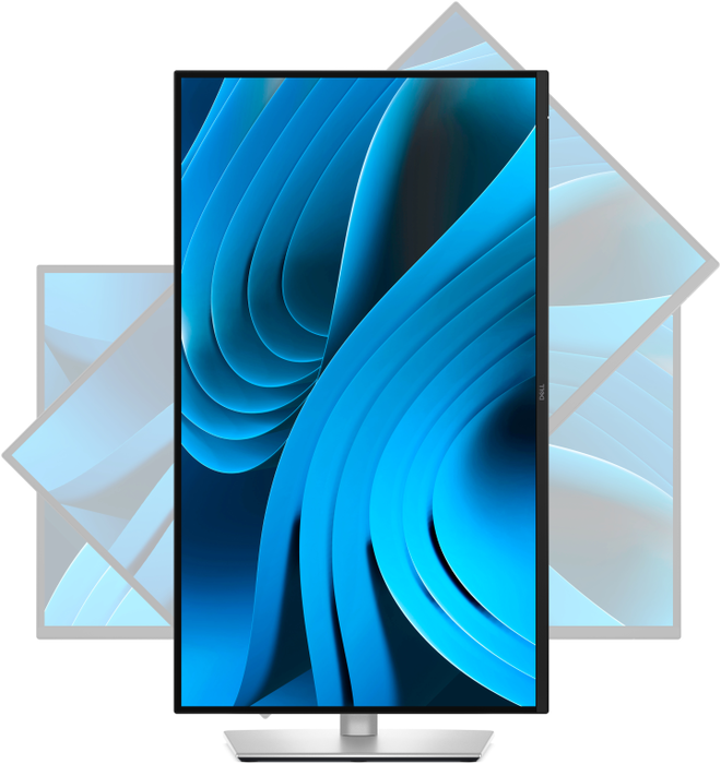 DELL Pro Plus P2725DE 27 Pulgadas Quad HD IPS 100Hz