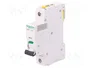 SCHNEIDER ELECTRIC Interruptor magnetotérmico ACTI9 iC60N 40A 1P C