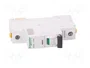 SCHNEIDER ELECTRIC Interruptor magnetotérmico ACTI9 iC60N 40A 1P C