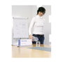 Durable Tischaufsteller Desk Presenter 29,7 x 8,5 x 10,5 cm