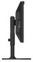 Eizo ColorEdge CG3100X Monitor 4K de 30,5 pulgadas Negro