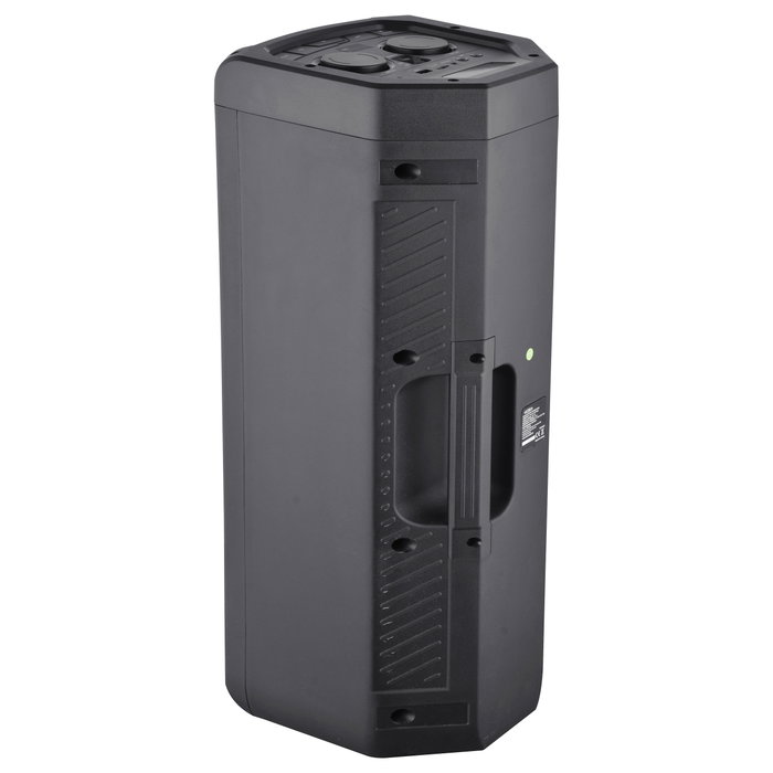 REFLEXION PS09BT Altavoz portátil estéreo torre 500W Bluetooth 5.0 Negro