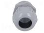 Lapp SKINTOP 53111040 Gris Poliamida M32x1.5 (25 unidades)