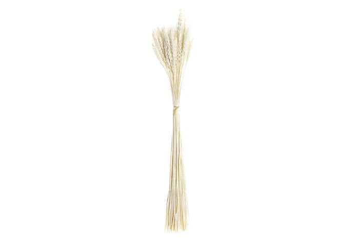 DKD Home Decor Rama Shabby Beige 20 x 64 x 20 cm (12 Unidades) DKD Home Decor Rama Shabby Beige 20 x 64 x 20 cm (12 Unidades)