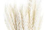 DKD Home Decor Rama Shabby Beige 20 x 64 x 20 cm (12 Unidades)