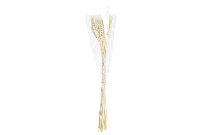 DKD Home Decor Rama Shabby Beige 20 x 64 x 20 cm (12 Unidades) DKD Home Decor Rama Shabby Beige 20 x 64 x 20 cm (12 Unidades)