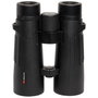 Braun Compagno 10x50 WP