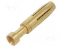 LAPP Contacto Hembra EPIC H-BE 2.5 Dorado 1,5mm2