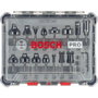 Bosch Professional Juego de 15 fresas mixtas con vástago de 6 mm - 2607017471