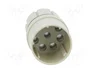 HARTING R15 Macho 8 Pines Recto
