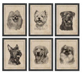 DKD Home Decor Cuadro Abeto Cristal 30x2,5x40 Perro Surtido de 6