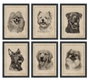 DKD Home Decor Cuadro Abeto Cristal 30x2,5x40 Perro Surtido de 6