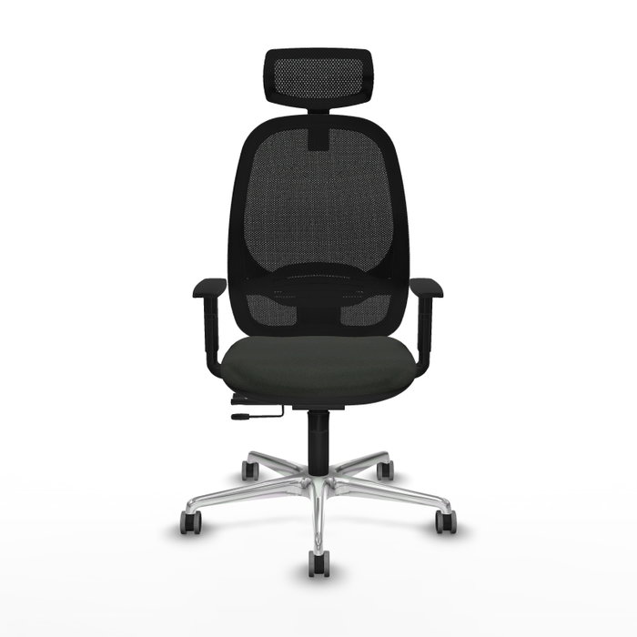 PIQUERAS Y CRESPO Silla de oficina Cilanco con mecanismo Sincro/Traslack, Negro PIQUERAS Y CRESPO Silla de oficina Cilanco con mecanismo Sincro/Traslack, Negro
