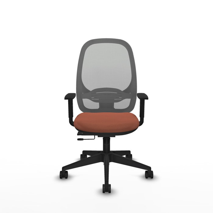 PIQUERAS Y CRESPO Silla de oficina Cilanco con mecanismo Sincro/Traslack Marrón y Gris PIQUERAS Y CRESPO Silla de oficina Cilanco con mecanismo Sincro/Traslack Marrón y Gris