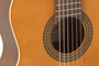 Admira Sevilla Serie Estudio Guitarra Clásica Zurda