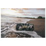 JBL Xtreme 3 Altavoz Bluetooth Portátil Resistente al Agua IPX7 Negro