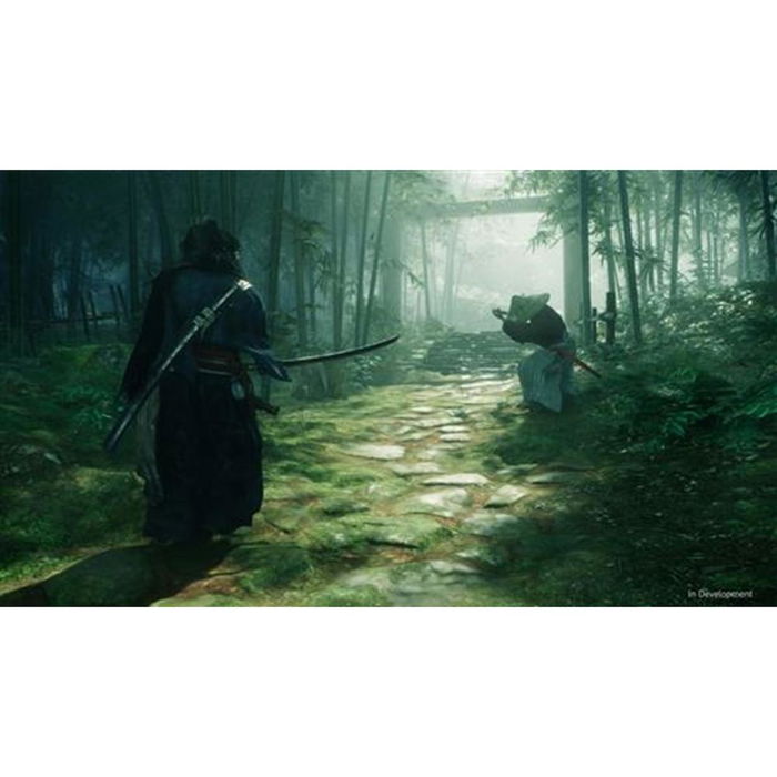 Sony Rise of the Ronin - Videojuego para PS5 | Acción, Mundo Abierto, Samurái, Español