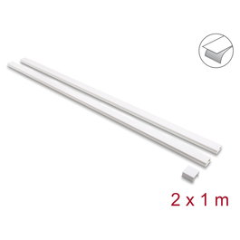 DeLOCK Pack de 2 Canaletas Autoadhesivas con Tapa Deslizante 30 x 14 mm, 1 m, Blanco