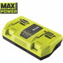 Ryobi Cargador MAXPOWER 36V 2 Puertos 6.0A RY36C2PA