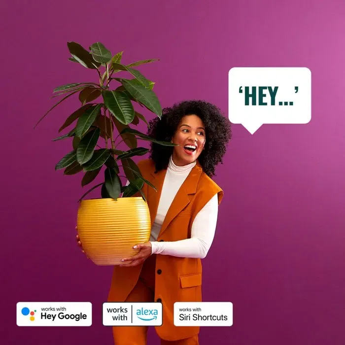 Wiz WIZ1708426428723 Kit de Inicio para Exteriores de 12V - Terminal Conectado, Aluminio, LED Integrado, Negro