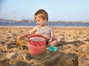 Hape Juego de Playa Plegar y Listo