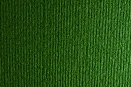 Cartulina A4 Sirio 250G Liso/Rugoso Verdone Paquete De 50