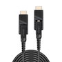 Lindy 38322 Cable HDMI tipo D (Micro) de 30 m, Negro