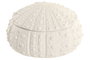 DKD Home Decor Joyero de Gres Erizo Mate Blanco
