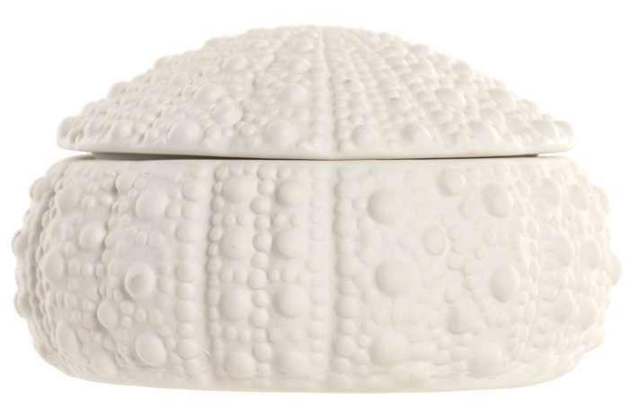 DKD Home Decor Joyero de Gres Erizo Mate Blanco